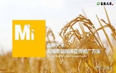 米星球”这一立异概念应运而生