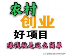 能够从村落旅逛、农产物加工业、电子商务平台